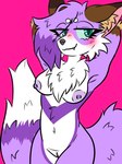 ambiguous_gender anthro breasts female fur genitals nipples nude pussy simple_background smile solo fallenfoxie cassiuskitsune canid canine mammal