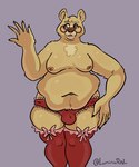 anthro belly big_belly bulge clothed clothing crossdressing eyewear femboy frilly frilly_clothing frilly_legwear frilly_stockings frilly_underwear fur glasses legwear male moobs overweight overweight_male panties red_clothing red_underwear skimpy solo stockings thick_thighs topless underwear underwear_only yellow_body yellow_fur luminared bear mammal hi_res