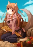 apple barefoot blush brown_hair clothed clothing cloud feet female food fruit hair kneeling long_hair looking_at_viewer outside plant sitting sky solo tail wheat yellow_eyes ginta spice_and_wolf holo_(spice_and_wolf) animal_humanoid canid canid_humanoid canine canine_humanoid canis humanoid mammal mammal_humanoid wolf wolf_humanoid 2010