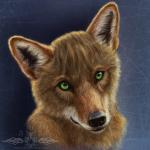 abstract_background ambiguous_gender black_lips black_nose brown_body brown_fur fur green_eyes hair inner_ear_fluff lips long_mouth looking_up no_sclera short_hair simple_background snout solo tuft whiskers white_body white_fur ykoriana canid canine canis coyote mammal 1:1 bust_portrait portrait