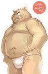 anthro asian_clothing belly brown_body brown_fur clothing east_asian_clothing fundoshi fur japanese_clothing kemono male moobs navel overweight overweight_anthro overweight_male simple_background solo text underwear white_background kita_9999 fundoshi's_day mammal suid suine sus_(pig) wild_boar 2014 hi_res japanese_text sketch