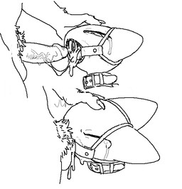 anthro balls bodily_fluids bound circumcised collar cum cum_drip cum_from_mouth cum_in_mouth cum_inside dominant dominant_male dripping drooling duo erection faceless_character faceless_male forced forced_oral gag gagged genital_fluids genitals hand_on_head humanoid_genitalia humanoid_penis male male/male male_penetrating open_mouth_gag oral oral_penetration penetration penis pubes ring_gag rough_sex saliva sex sharp_teeth solo_focus submissive submissive_male tears teeth vein veiny_penis kigoh-neko kigoh domestic_cat felid feline felis mammal unknown_species aliasing digital_drawing_(artwork) digital_media_(artwork) greyscale line_art monochrome