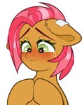 aged_up blush blush_lines cutie_mark ear_piercing ear_ring embarrassed female feral freckles green_eyes hair jewelry piercing red_hair ring_piercing shy simple_background solo white_background wingding_eyes etoz friendship_is_magic hasbro my_little_pony babs_seed_(mlp) featherweight_(mlp) earth_pony equid equine horse mammal pony 4:5 absurd_res bust_portrait hi_res portrait watermark