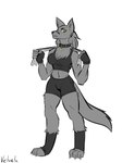 anthro athletic athletic_anthro athletic_wear biped bottomwear breasts chest_tuft claws clothed clothing collar female fingerless_gloves footwear fur gloves grey_body grey_fur handwear midriff muscular muscular_anthro muscular_female scar shirt shorts simple_background socks solo standing tank_top toe_claws toeless_footwear toeless_socks topwear towel towel_around_neck tuft white_background yellow_eyes animous velvela canid canine canis mammal wolf 2022 3:4 absurd_res hi_res