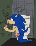 animal_genitalia anthro bathroom duo genitals glory_hole kneeling male male/male masturbation oral public_restroom restroom_stall tape toilet writing_on_wall rubberh0es_(artist) sega sonic_the_hedgehog_(series) sonic_the_hedgehog unknown_character eulipotyphlan hedgehog mammal hi_res