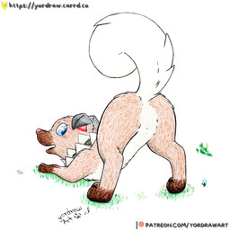 ass_up blue_eyes butt crotch_lines female feral flower grass looking_back open_mouth open_smile patreon_exclusive patreon_logo patreon_username paws pink_nose plant presenting presenting_hindquarters raised_tail smile solo spread_legs spreading tail text yordraw nintendo patreon pokemon canid generation_7_pokemon mammal pokemon_(species) rockruff 1:1 hi_res painting_(artwork) traditional_media_(artwork) traditional_painting_(artwork) url