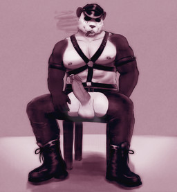 abs anthro arm_strap balls black_markings bodily_fluids boots bottomwear chaps cigar cigar_in_mouth cigar_smoke cigarette cigarette_in_mouth cigarette_smoke claws clothing erection facial_scar footwear furniture genital_fluids genital_piercing genitals grin harness hat headgear headwear leather leather_boots leather_bottomwear leather_chaps leather_clothing leather_footwear leather_hat leather_headgear leather_headwear leather_pants looking_at_viewer male markings mature_anthro mature_male muscular muscular_arms musk musky_balls nipple_piercing nipples object_in_mouth pants pecs penis penis_piercing piercing precum prince_albert_piercing saggy_balls scar shoes simple_background sitting smile smoke smoking smoking_cigarette solo spread_legs spreading stool thick_penis vein veiny_penis white_balls white_body ronzki beastars gouhin_(beastars) bear giant_panda mammal ursidae hi_res shaded sketch