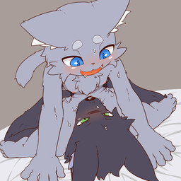 5_fingers anthro bed black_body black_fur blue_eyes blush bodily_fluids breasts cunnilingus duo facesitting female fingers fur furniture genital_fluids grey_body grey_fur inner_ear_fluff interspecies kemono larger_male looking_pleasured lying male male/female nipples on_back on_bed open_mouth oral saliva sex sitting_on_another size_difference small_breasts smaller_female straddling sweat tuft vaginal vaginal_fluids waist_grab alacarte enit_(alacarte) nifram_logan canid canine canis domestic_cat felid feline felis mammal wolf 1:1 hi_res