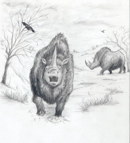 angry dead_tree duo feral horn plant short_fur small_eyes snow tree mihin89 ambient_bird mammal prehistoric_species rhinoceros woolly_rhinoceros black_and_white monochrome sketch