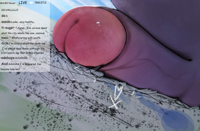 bulge city first_person_view fur genitals macro male micro musk penis solo text ti-suger animal_crossing nintendo rover_(animal_crossing) domestic_cat felid feline felis mammal absurd_res english_text hi_res