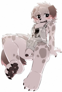 4_toes anthro anus apron balls black_glans black_pawpads blush bottomless clothed clothing feet flaccid genitals glans hair male markings open_mouth open_smile pawpads penis simple_background sitting smile solo spots spotted_body three-quarter_view toes white_background white_body white_hair white_penis young morria_a canid canine canis domestic_dog mammal