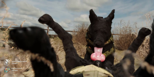 animal_genitalia animal_penis black_body black_fur body_part_in_mouth canine_genitalia canine_penis consistent_pov duo erection fellatio feral feral_on_feral feral_penetrated feral_penetrating feral_penetrating_feral feral_pov first_person_view fur genitals intraspecies knot knotted_penis legs_up male male/male male_penetrated male_penetrating male_penetrating_male male_pov oral oral_penetration outside penetrating_pov penetration penile penile_penetration penis penis_in_mouth realistic_feral sex shaking trembling trioami260 canid canine canis mammal wolf 3d_(artwork) 3d_animation animated digital_media_(artwork) hi_res short_playtime sound