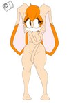 anthro breasts covering covering_self female mature_female nude self-conscious solo raccoonshinobi sega sonic_the_hedgehog_(series) vanilla_the_rabbit lagomorph leporid mammal rabbit 2:3 absurd_res hi_res