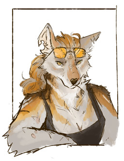 anthro black_clothing breasts cleavage clothed clothing eyewear eyewear_on_head female fur glasses glasses_on_head hair looking_at_viewer multicolored_body multicolored_fur notched_ear scar solo wheat_in_mouth midbyte canid canine mammal 2025 bust_portrait digital_media_(artwork) hi_res portrait