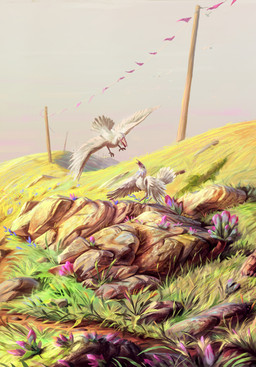 3_toes ambiguous_feral ambiguous_gender beak blue_flower day duo feathers feet feral flower grass grey_sky light midair outside pennant_banner pink_beak plant purple_flower rock sky standing tail tail_feathers toes utility_pole white_body white_feathers white_tail white_wings wings jack_kirby_crosby avian bird 2020 absurd_res colored digital_media_(artwork) digital_painting_(artwork) english_description hi_res lighting painting_(artwork) shaded