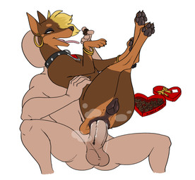 amber_eyes anal anal_penetration animal_genitalia animal_vulva anklet asymmetrical_hair balls bestiality blonde_hair bodily_fluids brown_body brown_fur canine_genitalia canine_vulva collar cum cum_drip dripping duo ear_piercing ear_ring erection faceless_character faceless_human faceless_male female female_feral female_focus female_on_human female_penetrated feral feral_on_top feral_penetrated fur genital_fluids genitals hair heart_box holidays human_on_bottom human_on_feral human_penetrating human_penetrating_female human_penetrating_feral humanoid_genitalia humanoid_penis interspecies jewelry large_penetration male male/female male_human male_on_feral male_penetrating male_penetrating_female male_penetrating_feral multicolored_body multicolored_fur nude pawpads penetration penile penile_penetration penis piercing plump_labia ring_piercing sex shaft_divide simple_background steam steamy_penis tail tail_anus tan_body tan_fur text tongue tongue_out vulva white_background halbean third-party_edit hornyfolk_(colorist) valentine's_day pepper_(halbean) canid canine canis dobermann domestic_dog human mammal pinscher 2025 absurd_res color_edit colored english_text hi_res