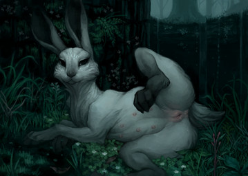 anus black_nose bodily_fluids detailed_background digitigrade female feral forest fur genital_fluids genitals grass looking_at_viewer lying multi_nipple nature nipples outside pink_vulva plant presenting presenting_vulva raised_leg solo teats tree vaginal_fluids vulva water white_body white_fur crookedtrees lagomorph leporid mammal rabbit