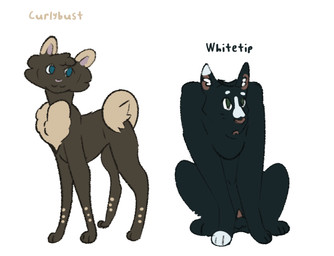 animal_genitalia animal_penis balls black_body black_fur blue_eyes brown_body brown_fur duo feline_genitalia feline_penis female feral fur genitals green_eyes male penis simple_background tan_body tan_fur toony white_background igotthebooty warriors_(book_series) fan_character domestic_cat felid feline felis mammal 2026 full-length_portrait model_sheet portrait