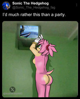 anthro butt casual_nudity female green_eyes nude pink_body rear_view social_media solo standing logan_silver sega sonic_the_hedgehog_(series) twitter amy_rose eulipotyphlan hedgehog mammal hi_res meme