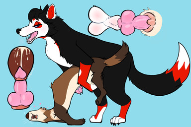 anatomically_correct anatomically_correct_genitalia anatomically_correct_penis anatomically_correct_vulva animal_genitalia animal_penis balls balls_blush black_body black_claws black_fur black_nose blue_background blue_eyes blush bodily_fluids body_blush breath brown_body brown_claws brown_fur canine_genitalia canine_penis cervical_penetration cervix claws cum cum_in_uterus cum_inside digitigrade dipstick_tail duo erection female female_penetrated feral feral_on_feral feral_penetrated feral_penetrating feral_penetrating_feral fur genital_fluids genitals heart_emanata interspecies knot knot_root knotted_penis knotting large_penetration male male/female male_penetrating male_penetrating_female markings maroon_nose open_mouth pawpads paws penetration penile penile_penetration penis red_body red_fur round_ears sex sheath simple_background sparkle_emanata tail tail_markings tan_body tan_fur teeth tongue toony uterus vaginal vaginal_knotting vaginal_penetration vulva whiskers white_body white_fur thespackster spacks canid canine canis coydog domestic_ferret hybrid mammal mustelid musteline true_musteline weasel 3:2 absurd_res hi_res signature nonbinary_(lore) trans_(lore) trans_man_(lore)