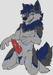4_toes 5_fingers animal_genitalia animal_penis anthro arm_tuft balls blue_eyes blue_hair blue_sclera blue_tongue canine_genitalia canine_penis cheek_tuft elbow_tuft erection facial_tuft feet fingers fur genitals grey_background grey_balls grey_body grey_fur grey_sheath hair kneeling knot knotted_penis male nipples nude open_mouth penis red_penis sheath short_hair simple_background solo toes tongue tongue_out tuft martinballamore mythology frosty_(frostyboi) canid canine mammal mythological_canine mythological_creature werecanid werecanine werecreature werewolf hi_res
