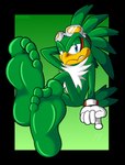 5_toes anthro barefoot blue_eyes clothing eyewear eyewear_on_head feet foot_focus gloves goggles goggles_on_head green_body handwear male male_feet smile soles solo toes ricowolfdog sega sonic_riders sonic_the_hedgehog_(series) jet_the_hawk accipitrid accipitriform avian bird hi_res