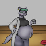 anthro black_nose breasts clothed clothing female fur grey_body grey_fur midriff pregnant solo j5furry brand_new_animal studio_trigger marie_itami mammal mink mustelid musteline true_musteline 1:1 animated hi_res short_playtime sound webm