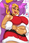 belly big_belly big_breasts blush breasts clothing costume female hand_on_belly huge_breasts open_mouth overweight overweight_female pointy_ears santa_costume slightly_chubby slightly_chubby_female crossman shantae_(series) wayforward shantae genie humanoid digital_media_(artwork) pixel_(artwork)