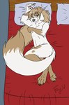 2016 anthro bed black_nose breasts button_ears canid canine canis claws covering covering_breasts dipstick_tail domestic_dog fayv female finger_claws floppy_ears fur furniture hair lying mammal markings nude on_back on_bed pawpads pillow pink_inner_ear pink_pawpads selina_(shaytalis) solo tail tail_markings tan_body tan_fur tan_hair tan_tail_tip teal_eyes toe_claws white_body white_fur