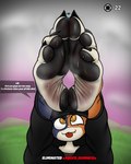 post #5533147
