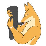 anthro duo female larger_female male male/female oral sex size_difference bran-draws-things gwen_(bran-draws-things) canid canine fox human mammal 1:1 hi_res