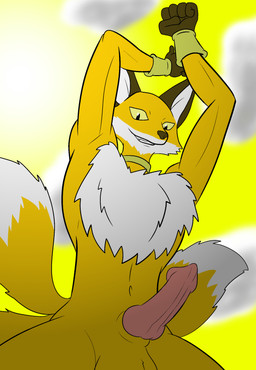 3_tails animal_genitalia animal_penis anthro balls canine_genitalia canine_penis cloud erection fur genitals knot looking_down male multi_tail multicolored_body multicolored_fur nude orange_body orange_fur penis raised_arms solo sun tail tuft two_tone_body two_tone_fur white_body white_fur yellow_eyes darkajugin dragon_ball dragon_ball_super liquiir canid canine fox mammal absurd_res hi_res