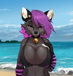 anthro beach bell bell_collar big_breasts bikini black_bikini black_clothing black_collar black_nose black_swimwear breasts cleavage clothed clothing cloud collar ear_piercing ear_ring female front_view fur grey_body grey_fur hair huge_breasts looking_at_viewer outside piercing purple_eyes purple_hair ring_piercing sand sea seaside sky solo standing swimwear two-piece_swimsuit water white_inner_ear cocoline_(artist) cocoline canid canine canis mammal wolf digital_media_(artwork) half-length_portrait hi_res portrait shaded