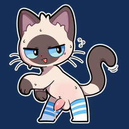 anthro balls bodily_fluids clothing femboy footwear footwear_only genital_fluids genitals male mostly_nude penis precum socks socks_only solo sweat tapering_penis plumflavor domestic_cat felid feline felis mammal siamese_cat 1:1 alpha_channel