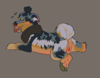 3_toes aged_down animal_genitalia anus blush claws curled_tail feet feral fur genitals hair intersex looking_at_viewer lying maleherm mandibles simple_background solo sploot tail toes tongue tongue_out vulva young puppyratcat alien canid canine canis domestic_dog mammal vortihound