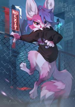 anthro biped bottomless bottomless_anthro bottomless_female claws clothed clothed_anthro clothed_female clothing countershade_torso countershading feet female fingers front_view fur hair hoodie inner_ear_fluff outside partially_clothed partially_clothed_anthro partially_clothed_female solo tail toes topwear tuft reysi canid canine fox mammal 2026 digital_drawing_(artwork) digital_media_(artwork)