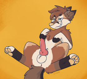 animal_genitalia animal_penis anus balls canine_genitalia canine_penis erection feral floating_eyebrows genitals knot knotted_penis male penis presenting smile smirk solo vixeyhuskybutt ashkii_(amarok009) canid canine canis coyote mammal