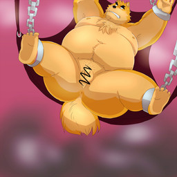 anthro balls belly bound butt chain chained cuff_(restraint) flaccid genitals humanoid_hands iron_cuffs kemono larger_but_small lying male metal_cuffs micropenis moobs navel nipples overweight overweight_anthro overweight_male penis restraints sex_swing small_penis solo arufina_w canid canine mammal 1:1 2014 censored hi_res