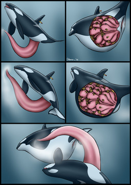 animal_genitalia animal_penis animal_vulva belly big_belly big_penis black_body bodily_fluids cetacean_genitalia cetacean_penis cetacean_vulva cum cum_in_water dart dorsal_fin duo erection expansion female female_feral feral feral_on_feral fin flukes genital_expansion genital_fluids genitals growth huge_belly huge_penis hyper hyper_genitalia hyper_penis internal male male/female male_feral mammary_slits multi_uterus mutation pectoral_fin penis penis_expansion tapering_penis underwater uterus uterus_growth vulva water white_body year dolorcin aquatic cetacean dolphin mammal oceanic_dolphin orca toothed_whale 2026 comic dated hi_res