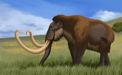 blue_sky brown_body brown_fur cloud day feral field fur grass hill nature outside plant proboscis_(anatomy) quadruped sky solo trunk_(anatomy) tusks agustindiazart columbian_mammoth 2026 hi_res