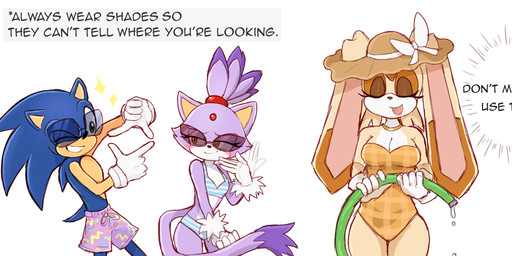 anthro bikini bikini_bottom bikini_top blush clothing dialogue eyewear female gesture group hand_gesture hat headgear headwear hero humor male male/female one-piece_swimsuit princess royalty smile sun_hat sunglasses swimming_trunks swimwear text trio two-piece_swimsuit water_hose topsieturvy sega sonic_the_hedgehog_(series) blaze_the_cat sonic_the_hedgehog vanilla_the_rabbit domestic_cat eulipotyphlan felid feline felis hedgehog humanoid lagomorph leporid mammal rabbit english_text hi_res meme