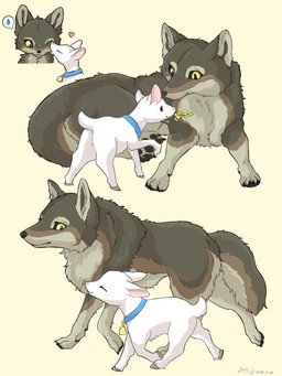 4_toes ambiguous_gender bell bell_collar black_nose black_pawpads blue_collar brown_body brown_fur claws cloven_hooves collar countershading duo eating eyes_closed feet feral fur grey_body grey_fur heart_symbol hooves larger_feral multicolored_body multicolored_fur pawpads paws plant predator/prey quadruped simple_background size_difference smile tail tan_body toes tuft unguligrade walking white_body white_fur yellow_eyes fusau bovid canid canine canis caprine goat mammal wolf 2024 3:4 digital_media_(artwork) hi_res