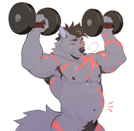 anthro barazoku bodily_fluids claws crotch_tuft dumbbell exercise finger_claws fluffy fluffy_tail fur grey_body grey_fur kemono male markings muscular muscular_anthro muscular_male nude nude_anthro nude_male pawpads pointy_ears pubes red_markings simple_background solo sweat sweatdrop tail tuft weightlifting weights white_background workout peapeafur canid canine canis mammal wolf hi_res