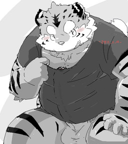 anthro balls belly big_belly big_penis blush clothing erection genitals humanoid_genitalia humanoid_hands humanoid_penis kemono male overweight overweight_male penis shirt sitting solo topwear kisukemk777 felid mammal pantherine tiger 2015