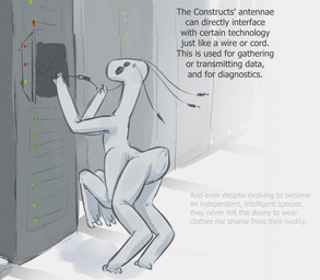 3_fingers 3_toes 4_antennae 4_eyes 4_legs antennae_(anatomy) anus black_eyes blue_anus blue_vulva butt elith_construct feet female feral fingers genitals machine multi_eye on_hind_legs rear_view science_fiction simple_background solo standing technology text toes vulva white_body tateoftot alien hi_res
