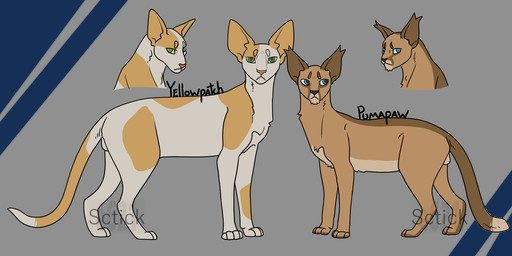 balls duo feral genitals male young sctick pumapaw_(sctick) yellowpatch_(sctick) domestic_cat felid feline felis mammal oriental_shorthair clip_studio_paint_(artwork) digital_media_(artwork) hi_res model_sheet
