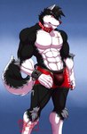 abs anthro biceps big_bulge black_body black_fur black_hair bottomwear bulge claws clothed clothing deltoids fingers fluffy fluffy_tail fur hair long_tail looking_at_viewer male multicolored_body multicolored_fur navel pecs red_eyes scar short_hair shorts shorts_only simple_background solo tail tight_bottomwear tight_clothing tight_shorts topless two_tone_body two_tone_fur underwear underwear_only white_body white_fur hungothenomster ghost_woods_j canid canine canis mammal wolf 2020 artist_name dated digital_drawing_(artwork) digital_media_(artwork) hi_res watermark