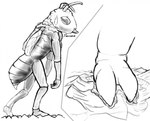 2_toes 3_fingers antennae_(anatomy) anthro bodily_fluids compound_eyes crater crush cutaway destruction feet female fingers foot_crush foot_focus giga landscape_dwarfing larger_anthro larger_female macro mountain mountain_range nude simple_background size_difference solo stinger sweat sweatdrop toes walking wings shadowhide arthropod bee hymenopteran insect 2020 dated digital_drawing_(artwork) digital_media_(artwork) full-length_portrait monochrome portrait signature sketch