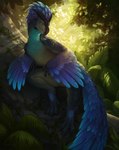 backlighting blue_body blue_feathers claws detailed_background feathered_arms feathers featureless_crotch feral forest head_feathers jungle light light_beam long_tail male nature nature_background plant solo sunbeam sunlight tail toe_claws tree ryinn capcom monster_hunter dinosaur feathered_dinosaur feathered_scalie prehistoric_species reptile scalie seikret wild_ride hi_res lighting