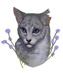 ambiguous_gender blue_eyes blue_flower feral flower fur grey_body grey_fur markings plant simple_background solo stem torn_ear whiskers white_background s.nomen warriors_(book_series) warriors_(series) ashfur_(thunderclan) domestic_cat felid feline felis mammal 2020 bust_portrait hi_res portrait shaded male_(lore)